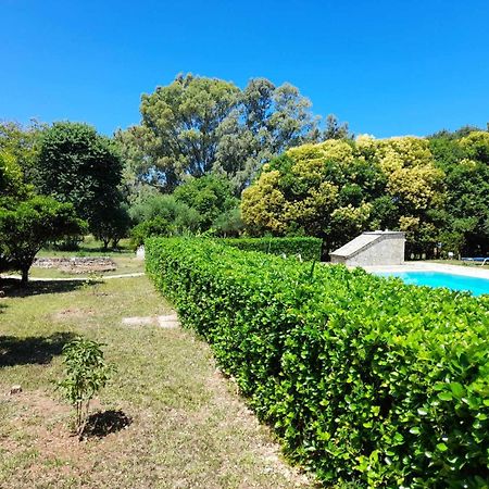 Lemontree Apartments Kassiopi Ngoại thất bức ảnh