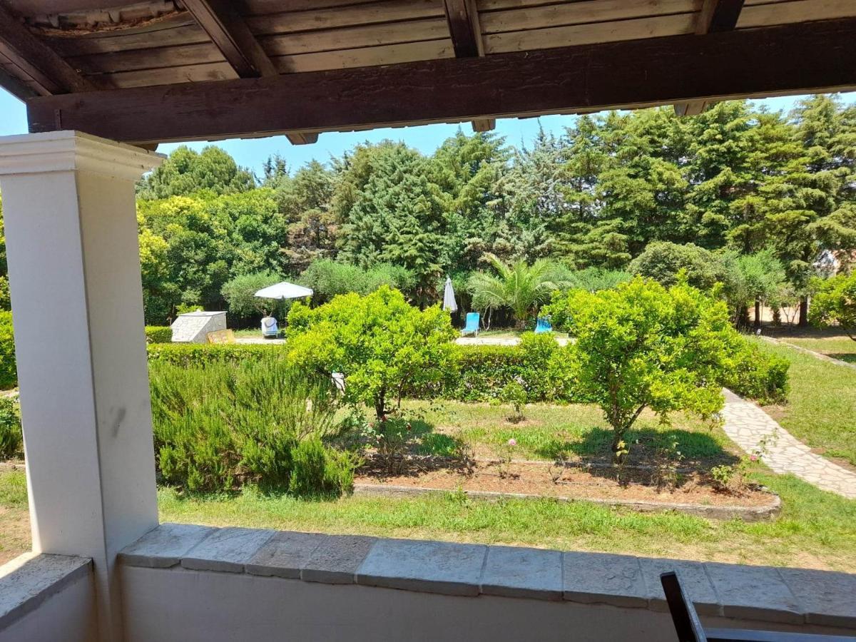 Lemontree Apartments Kassiopi Ngoại thất bức ảnh